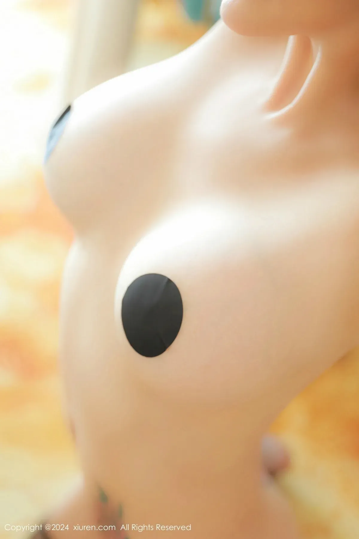 [XiuRen秀人网]第9547期田冰冰写真 - image 46